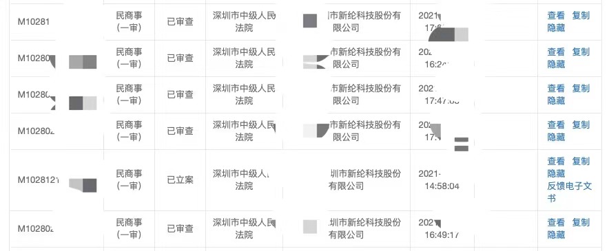 新纶科技立案.jpg 新纶科技立案.jpg